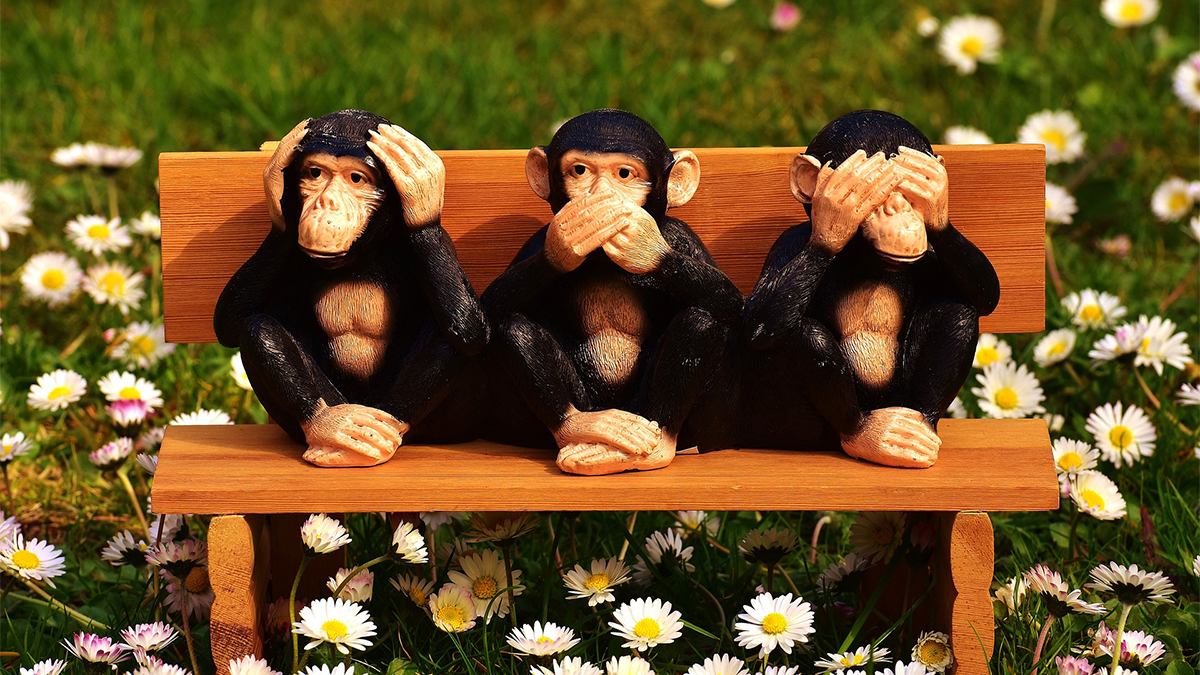Die drei Affen: Nichts hören, nichts sagen und nichts sehen. Foto: pixabay