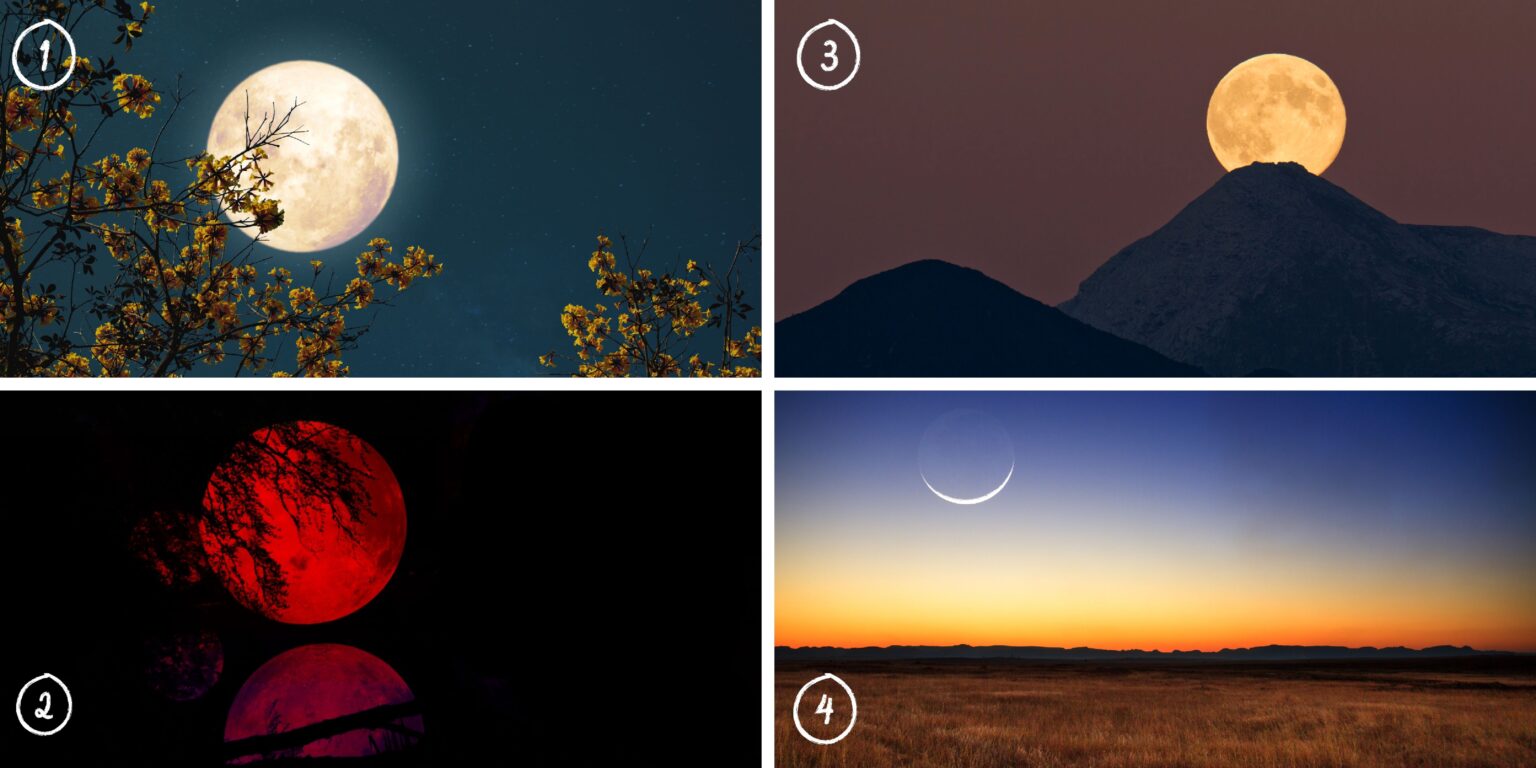 Persönlichkeitstest: Welcher Mond zieht dich am meisten an? Wählen Sie aus diesen 4 Sternen und enthüllen Sie die Geheimnisse Ihrer romantischen Zukunft!